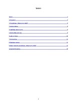 Referāts 'Laima Kota "Mana turku kafija"', 2.