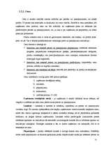 Referāts 'Mārketinga komplekss', 13.