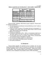 Referāts 'Tirgzinības plāns tūrisma kredītam', 11.