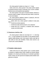 Biznesa plāns 'Biznesa plāns', 2.