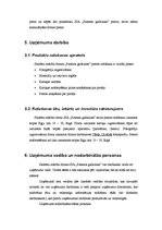 Biznesa plāns 'Biznesa plāns', 5.