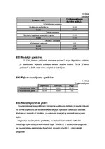 Biznesa plāns 'Biznesa plāns', 8.