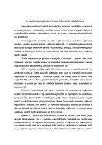 Referāts 'Materiālo resursu efektīvas izmantošanas organizēšana', 5.