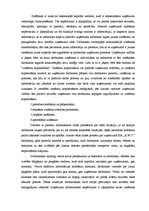 Referāts 'Materiālo resursu efektīvas izmantošanas organizēšana', 18.