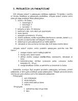 Biznesa plāns 'Biznesa plāns SIA "Krējums saldais"', 5.