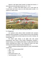 Referāts 'Cementa rūpnīca Brocēnos SIA "Cemex"', 12.