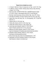 Referāts 'Zinātniski pētnieciskais darbs kulturoloģijā', 22.