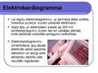 Prezentācija 'Elektrība cilvēkā', 8.