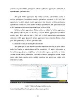 Referāts 'Industrijas analīze', 13.