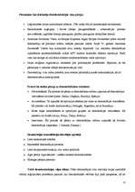 Referāts 'Demokrātija', 10.