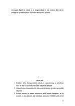 Referāts 'Sabiedrības kultūru atšķirības', 11.