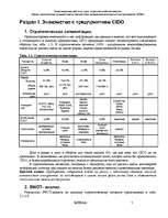 Referāts 'Оценка стратегических позиций и выбор приоритетных направлений деятельности пред', 5.