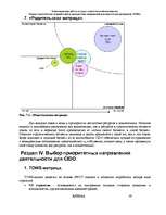 Referāts 'Оценка стратегических позиций и выбор приоритетных направлений деятельности пред', 48.