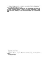 Prakses atskaite 'Diabēta slimnieka slimības vēsture', 4.