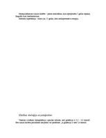 Prakses atskaite 'Diabēta slimnieka slimības vēsture', 9.