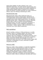 Prezentācija 'Ķīna', 23.