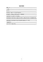 Konspekts 'Revīzijas un kontroles darba organizācija un plānošana', 2.