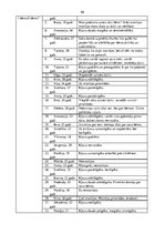 Diplomdarbs 'Bērnu loma pieaugušo personības izaugsmē', 46.