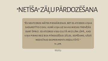 Prezentācija 'Simbolu pielietojums Noras Ikstenas ''Mātes pienā''', 17.