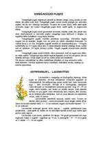 Referāts 'Puķes', 2.