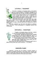 Referāts 'Puķes', 3.