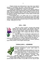 Referāts 'Puķes', 4.