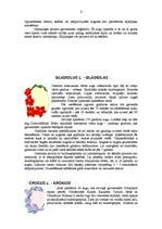 Referāts 'Puķes', 6.