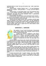 Referāts 'Puķes', 7.