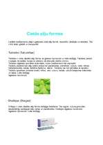 Konspekts 'Zāļu formas. Farmakoloģija. Medicīna', 2.