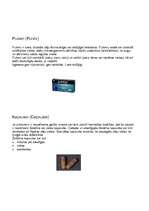 Konspekts 'Zāļu formas. Farmakoloģija. Medicīna', 3.