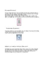 Konspekts 'Zāļu formas. Farmakoloģija. Medicīna', 5.