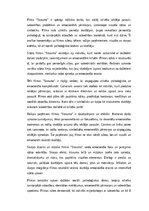 Eseja 'Filmas "Straume" analīze', 1.