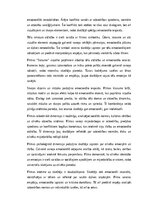 Eseja 'Filmas "Straume" analīze', 3.