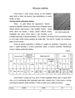 Referāts 'Ozols', 11.