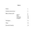 Referāts 'Bērna tēls 20.gadsimta latviešu prozā', 1.