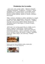 Referāts 'Jēkabpils Maizes kombināts', 5.