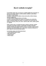 Referāts 'Māksla kā saziņas līdzeklis', 7.