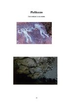 Referāts 'Māksla kā saziņas līdzeklis', 10.