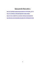 Referāts 'Māksla kā saziņas līdzeklis', 13.