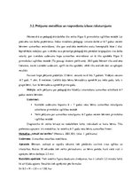 Diplomdarbs 'Uzmanības noturības veicināšanas pedagoģiskās iespējas 6-7 gadu veciem bērniem', 29.