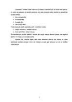 Referāts 'Valsts teorija', 3.