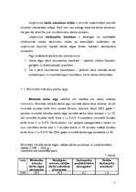 Referāts 'Darba samaksa uzņēmumā', 5.