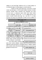 Referāts 'Darba samaksa uzņēmumā', 7.