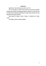 Prakses atskaite 'Prakses atskaite', 4.