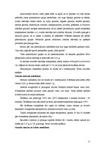 Prakses atskaite 'Prakses atskaite', 17.