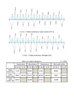 Prakses atskaite 'Stiegrbetona un mūra aprēķins', 19.