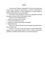 Referāts 'Plānošanas un kontroles loma uzņēmējdarbībā', 3.