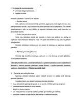 Referāts 'Plānošanas un kontroles loma uzņēmējdarbībā', 6.