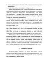 Referāts 'Plānošanas un kontroles loma uzņēmējdarbībā', 7.