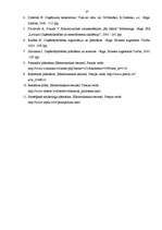 Referāts 'Plānošanas un kontroles loma uzņēmējdarbībā', 27.